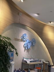 -素美医疗美容·西南眼鼻整形·修复基地