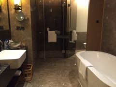 -河源万绿湖美思威尔顿酒店