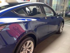-TESLA 特斯拉(郑州正弘城体验店)