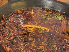-鸿顺老铁锅美蛙鱼府(解放碑店)