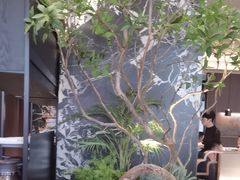 -新白鹿餐厅(滨江银泰店)
