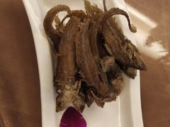 -上海国际饭店