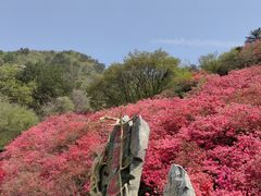 -木兰云雾山
