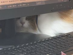 -谐和贝康宠物医院24小时·宠保定点(急重症转诊中心)