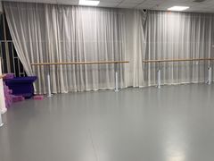 -西安小天鹅艺术团(金花路校区)