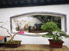 -上海醉白池公园