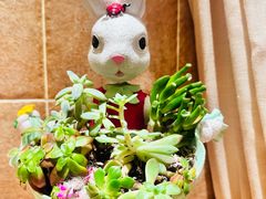 -叶叶菩提(太原别墅店)