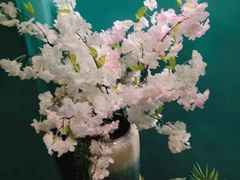 -康健民中泰式·古法按摩连锁品牌(华润万家店)