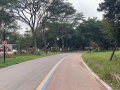 -顺峰山公园