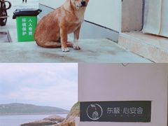 -东极岛景区