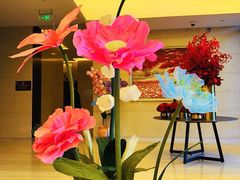 -极斗-IKMF马伽术·格斗运动学院(东直门店)