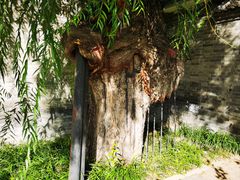 -元大都城垣遗址公园