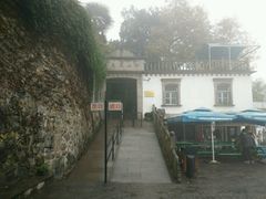 -上海佘山国家森林公园西佘山园