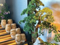 -蘇锦宴·淮扬菜烤鸭·小院(三元桥霄云路店)