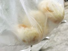 小笼包-桐香园小笼包(百井坊巷店)