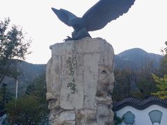 -北京鹫峰国家森林公园