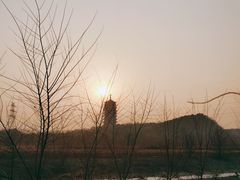 -永定河休闲森林公园