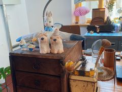 -春风十里咖啡馆