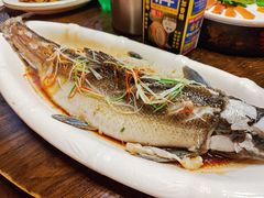 -醉美东江·三文鱼·烧鸡公