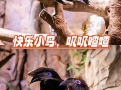 -正佳极地海洋世界