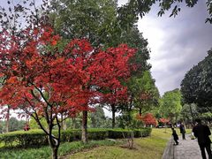 -重庆彩云湖湿地公园