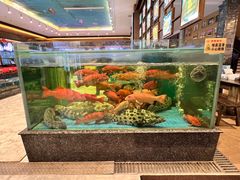 -聚福宝合苑食府(南头镇店)