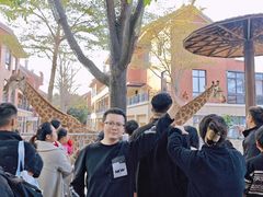 -灵玲国际马戏城