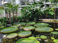 -国家植物园南园