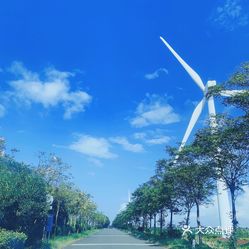 新慈湖千亩花海