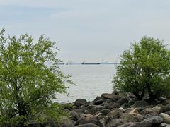 -上海吴淞炮台湾国家湿地公园