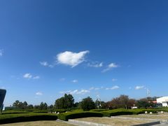 -南汇嘴观海公园