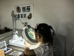 -房山世界地质公园博物馆