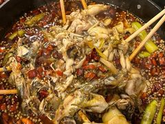 -鸿顺老铁锅美蛙鱼府(解放碑店)