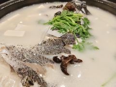 -老淳安—伴山伴湖(千岛湖开元度假村店)