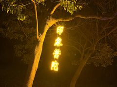 -印象普陀