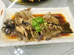 -京北渔家傲