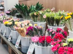 -鹿岛会员店 (龙湖三千集天街店)