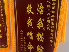 -爱妮康宠物医院·干细胞免疫细胞·肿瘤·心脏(张江店)