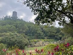 -深圳国际园林花卉博览园