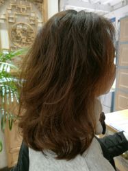 -渼树MSUTREE连锁沙龙