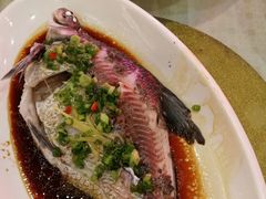 -喜悦海鲜大酒楼(钱柜广场店)