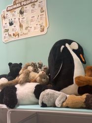 -奈尔宝·儿童乐园·亲子餐厅(苏州大悦城店)