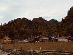 -茂县小辣椒川菜馆-羌家铜锅土火锅