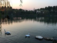 -上海怡沁园度假酒店