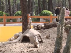 -北京野生动物园