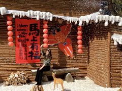 -龙湾潭国家森林公园