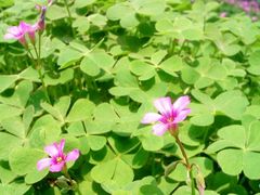 外景-河南省黄河迎宾馆