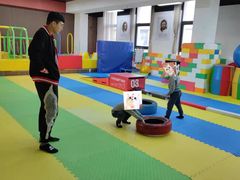 -能量小象·感统·专注力·语言(崂山校区)
