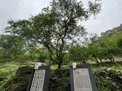 -广州市石门国家森林公园