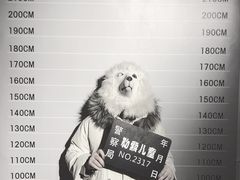 -苏州5D星空错觉艺术馆
